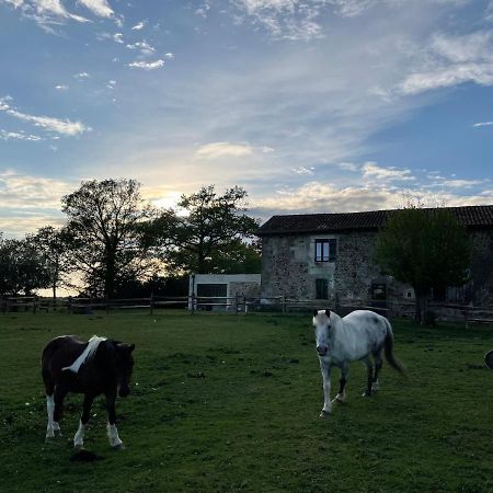 Gite A La Campagne Au Bord D'Un Lac 8 Personnes Saint-Quentin-sur-Charente Экстерьер фото