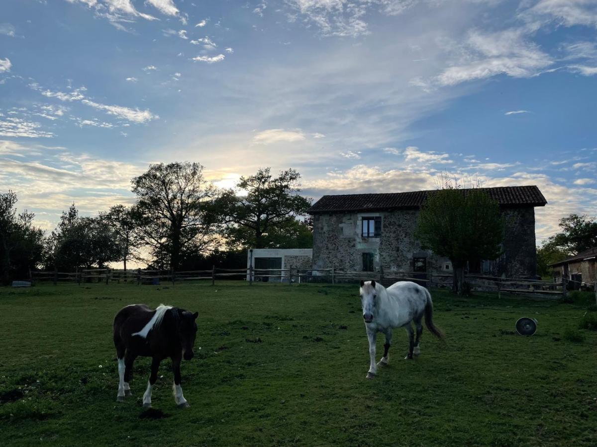 Gite A La Campagne Au Bord D'Un Lac 8 Personnes Saint-Quentin-sur-Charente Экстерьер фото
